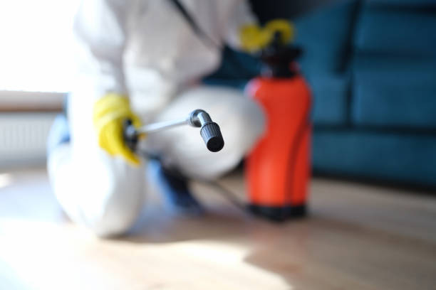 Best Mold Removal for HVAC Installations  in Lake Belvedere Estates, FL