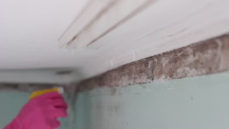 Best Indoor Air Quality Assessment  in Lake Belvedere Estates, FL